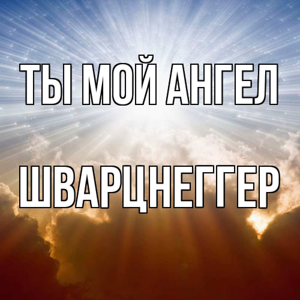 Открытка на каждый день с именем, Шварцнеггер Ты мой ангел ангельский свет на небе Прикольная открытка с пожеланием онлайн скачать бесплатно 