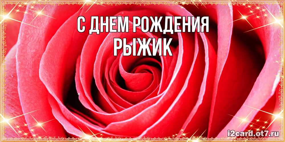 Открытка на каждый день с именем, рыжик С днем рождения розовая роза очень крупный бутон Прикольная открытка с пожеланием онлайн скачать бесплатно 