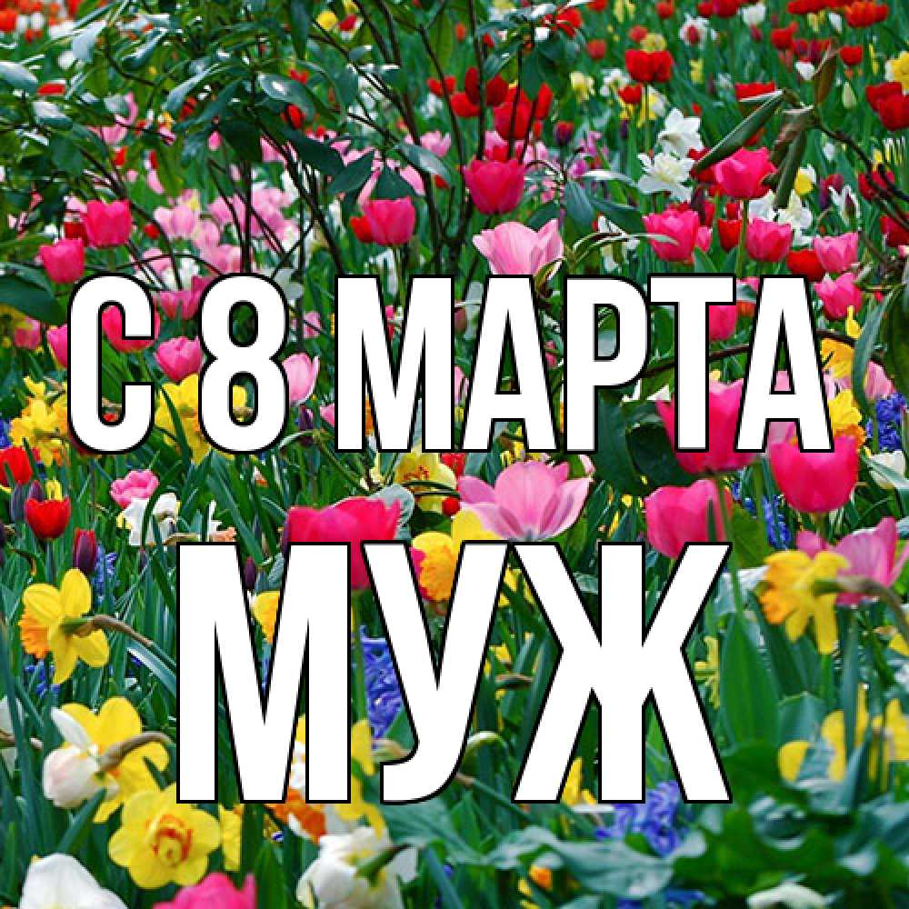 Открытка на каждый день с именем, Муж C 8 МАРТА с международным женским днем поздравления для женщины Прикольная открытка с пожеланием онлайн скачать бесплатно 