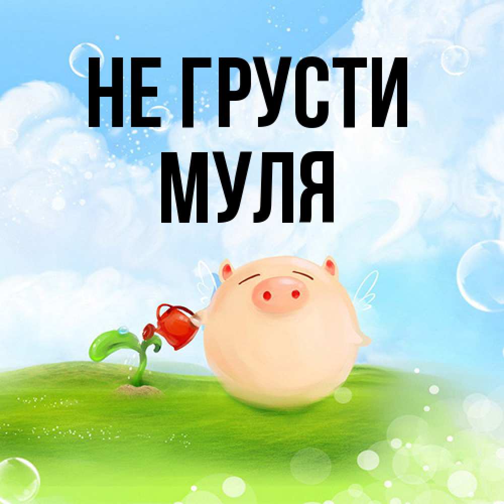 Открытка на каждый день с именем, Муля Не грусти поливает цветок порося Прикольная открытка с пожеланием онлайн скачать бесплатно 