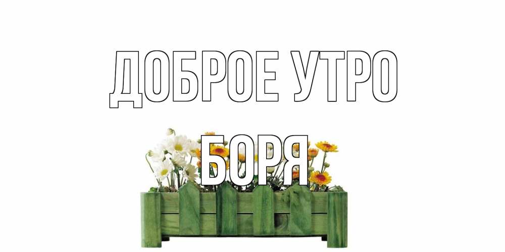 Открытка на каждый день с именем, Боря Доброе утро цветы Прикольная открытка с пожеланием онлайн скачать бесплатно 
