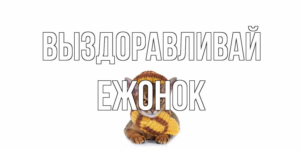 Открытка на каждый день с именем, Ежонок Выздоравливай родные не болейте Прикольная открытка с пожеланием онлайн скачать бесплатно 