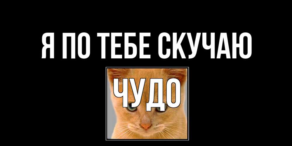 Открытка на каждый день с именем, Чудо Я по тебе скучаю открытки рыжий котенок скучает по тебе Прикольная открытка с пожеланием онлайн скачать бесплатно 