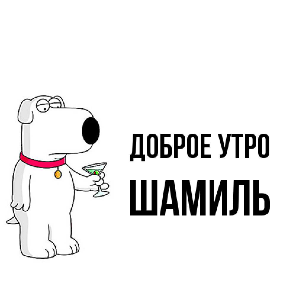 Открытка на каждый день с именем, Шамиль Доброе утро герои мультфильмов белый пес Прикольная открытка с пожеланием онлайн скачать бесплатно 