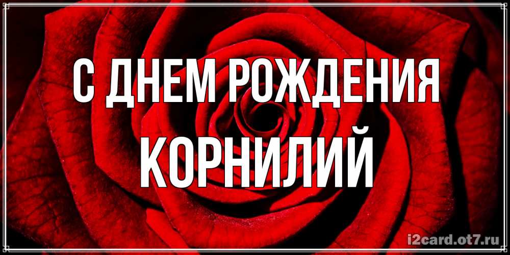 Открытка на каждый день с именем, Корнилий С днем рождения алая роза Прикольная открытка с пожеланием онлайн скачать бесплатно 