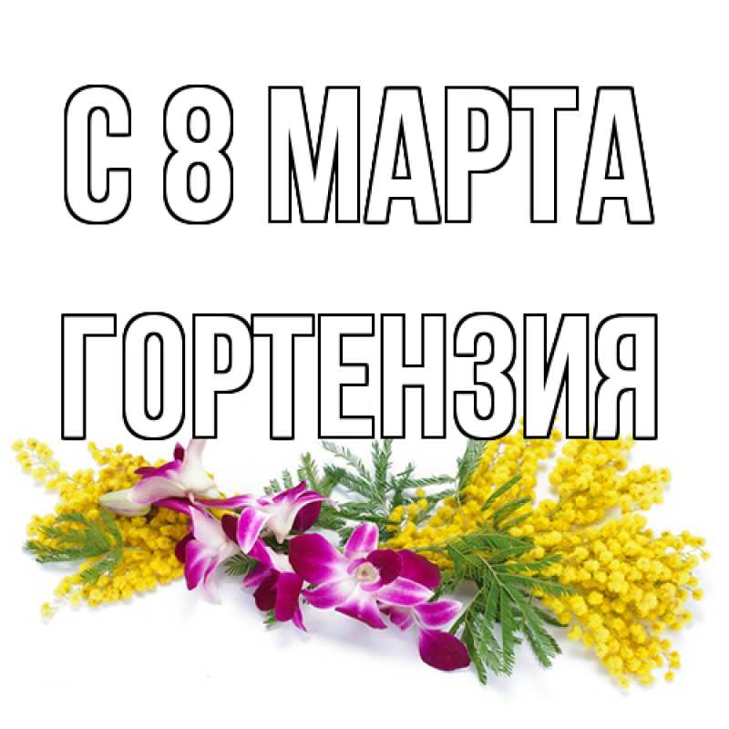 Картинка C 8 МАРТА, Гортензия