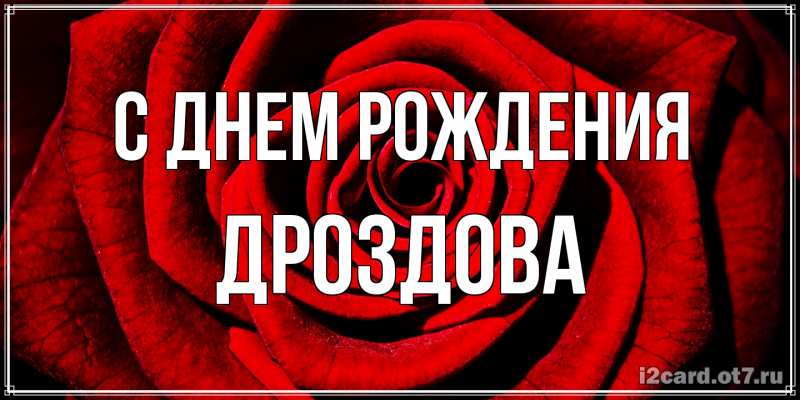 Картинка С днем рождения, Дроздова