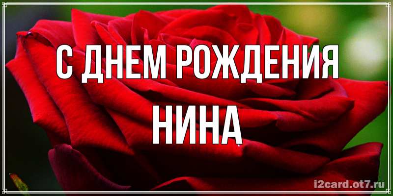 Картинка С днем рождения, Нина