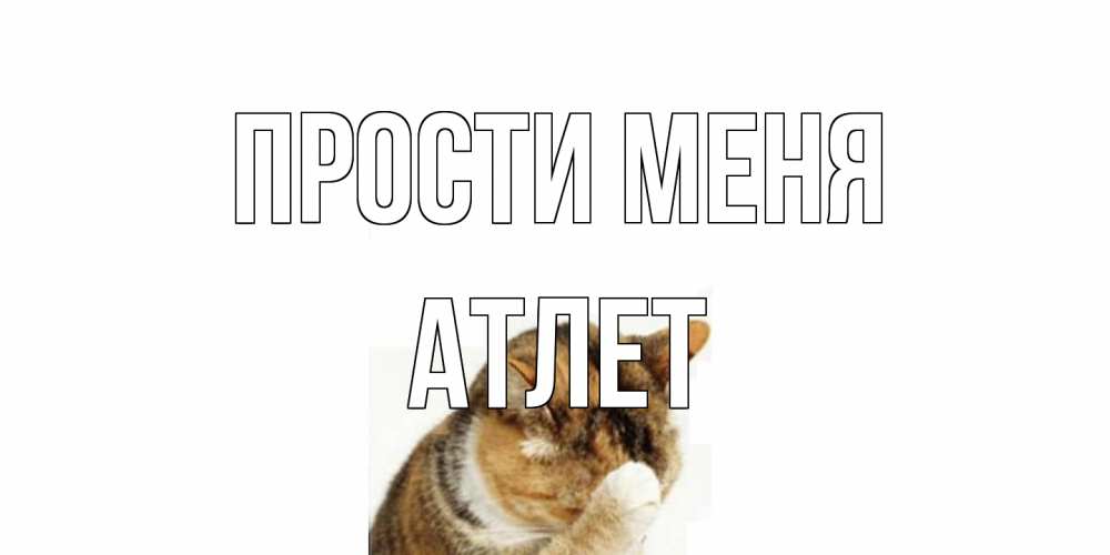 Открытка на каждый день с именем, Атлет Прости меня кот Прикольная открытка с пожеланием онлайн скачать бесплатно 