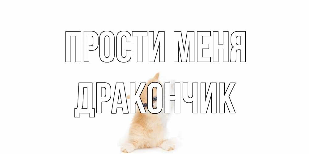 Открытка на каждый день с именем, Дракончик Прости меня кот Прикольная открытка с пожеланием онлайн скачать бесплатно 