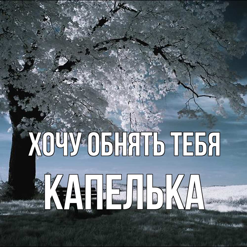 Открытка на каждый день с именем, Капелька Хочу обнять тебя дерево Прикольная открытка с пожеланием онлайн скачать бесплатно 