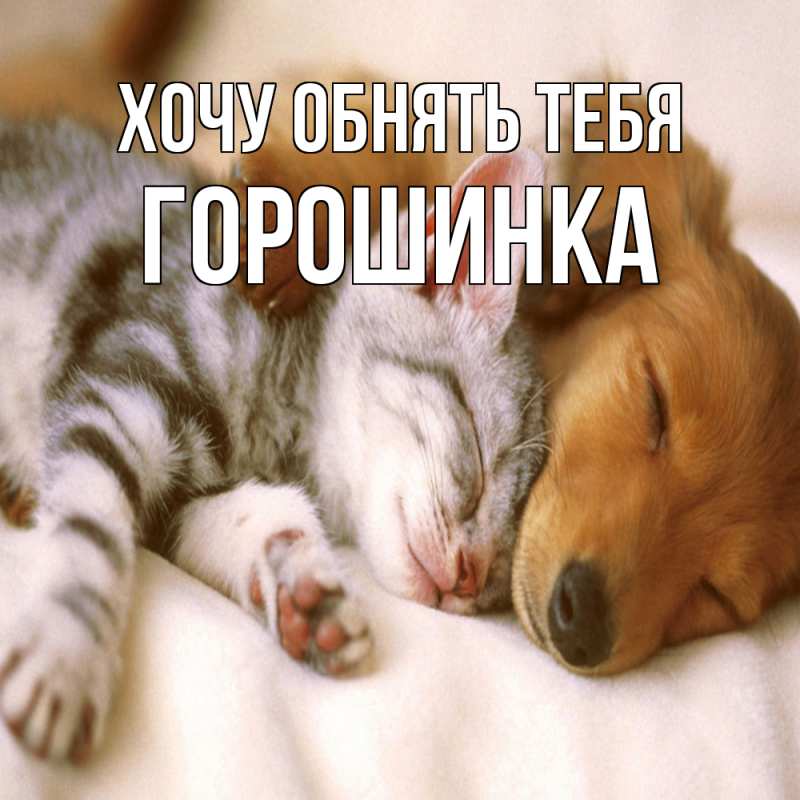 Картинка Хочу обнять тебя, горошинка