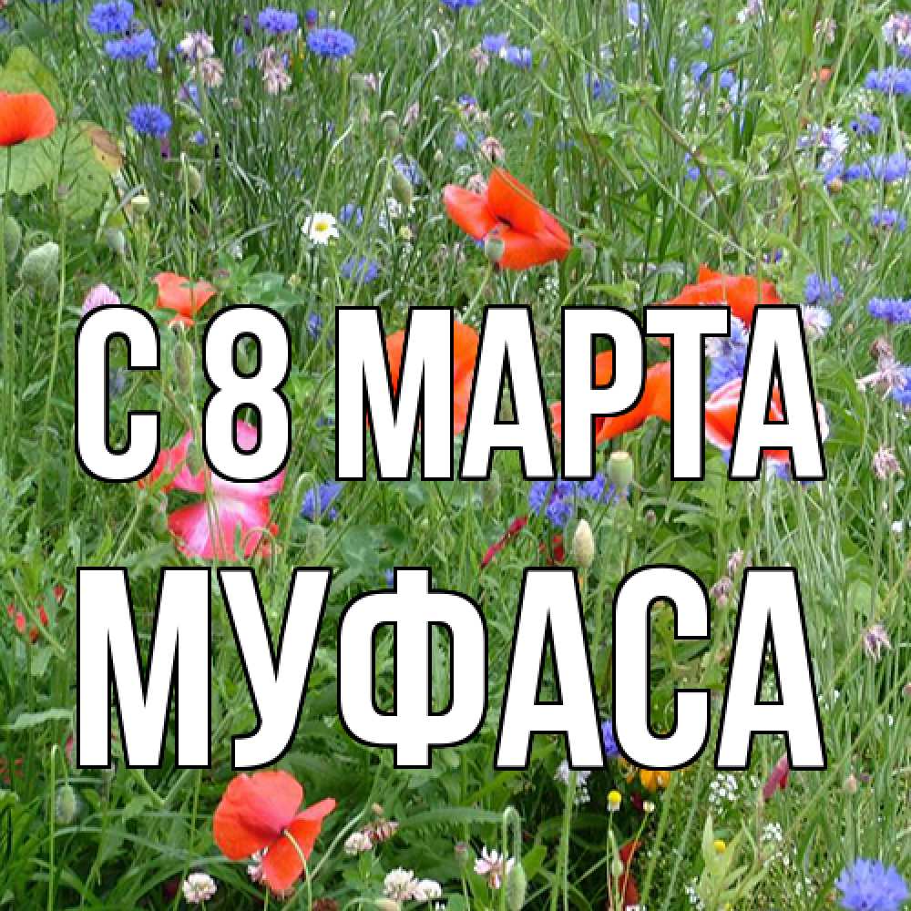 Открытка на каждый день с именем, Муфаса C 8 МАРТА международный женский день 4 Прикольная открытка с пожеланием онлайн скачать бесплатно 