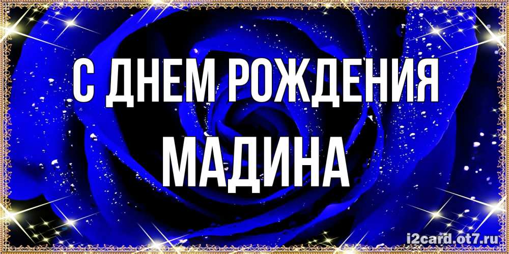 Открытка на каждый день с именем, Мадина С днем рождения голубые цветы в росе Прикольная открытка с пожеланием онлайн скачать бесплатно 