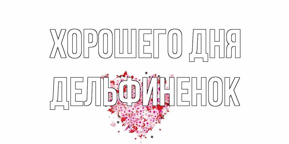 Открытка на каждый день с именем, дельфиненок Хорошего дня открытка на каждый день для любимой Прикольная открытка с пожеланием онлайн скачать бесплатно 
