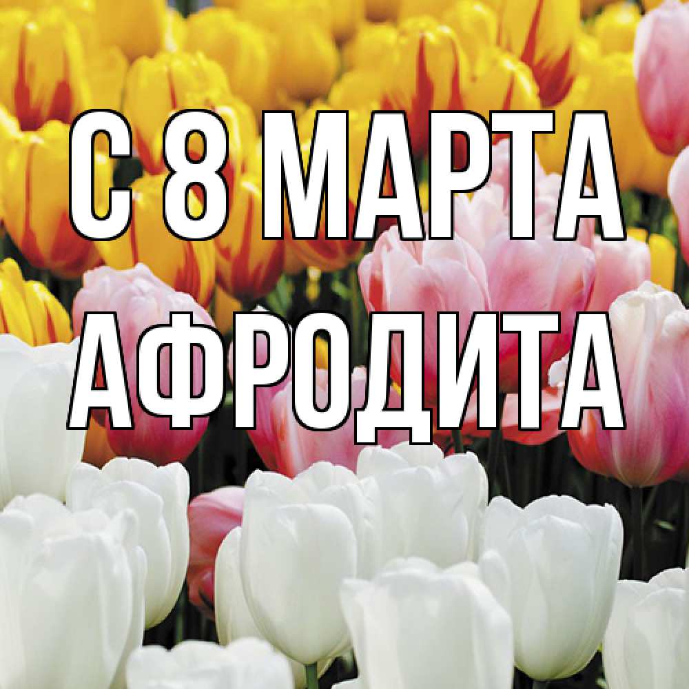 Открытка на каждый день с именем, Афродита C 8 МАРТА разноцветные цветы Прикольная открытка с пожеланием онлайн скачать бесплатно 