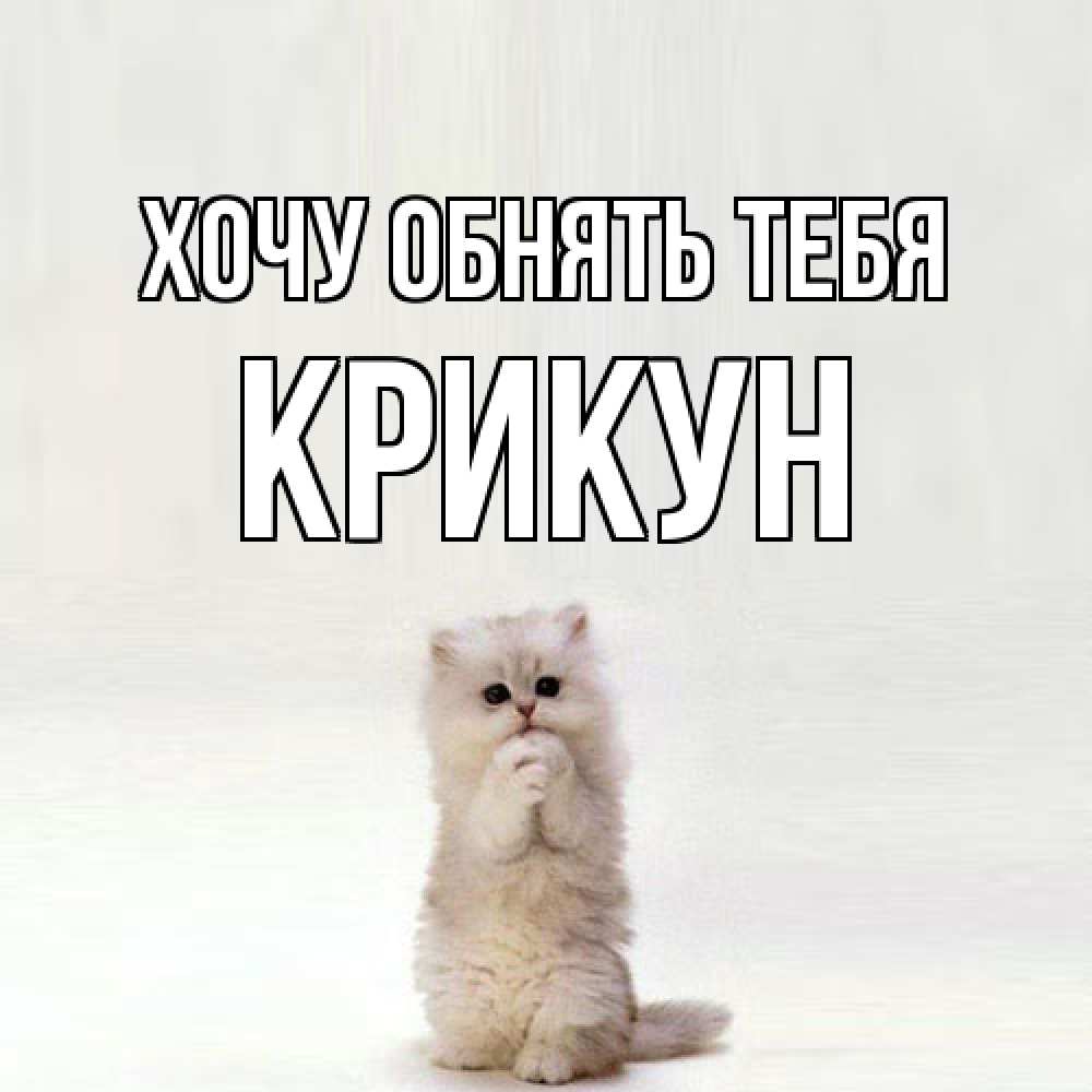 Открытка на каждый день с именем, Крикун Хочу обнять тебя открытки с креативными подписями Прикольная открытка с пожеланием онлайн скачать бесплатно 