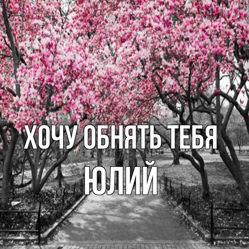 Картинка Хочу обнять тебя, Юлий