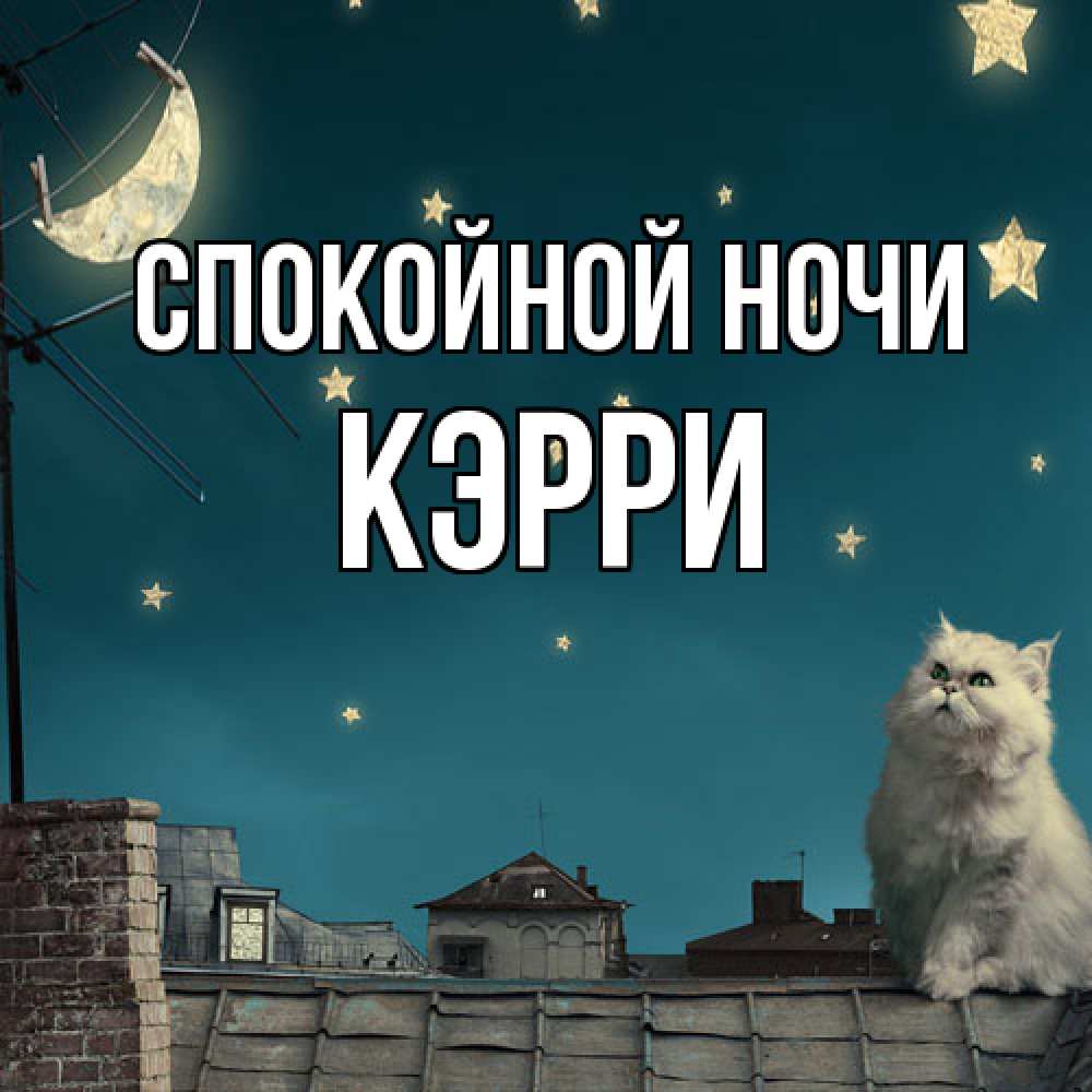 Открытка на каждый день с именем, Кэрри Спокойной ночи белый кот сидит на крыше Прикольная открытка с пожеланием онлайн скачать бесплатно 