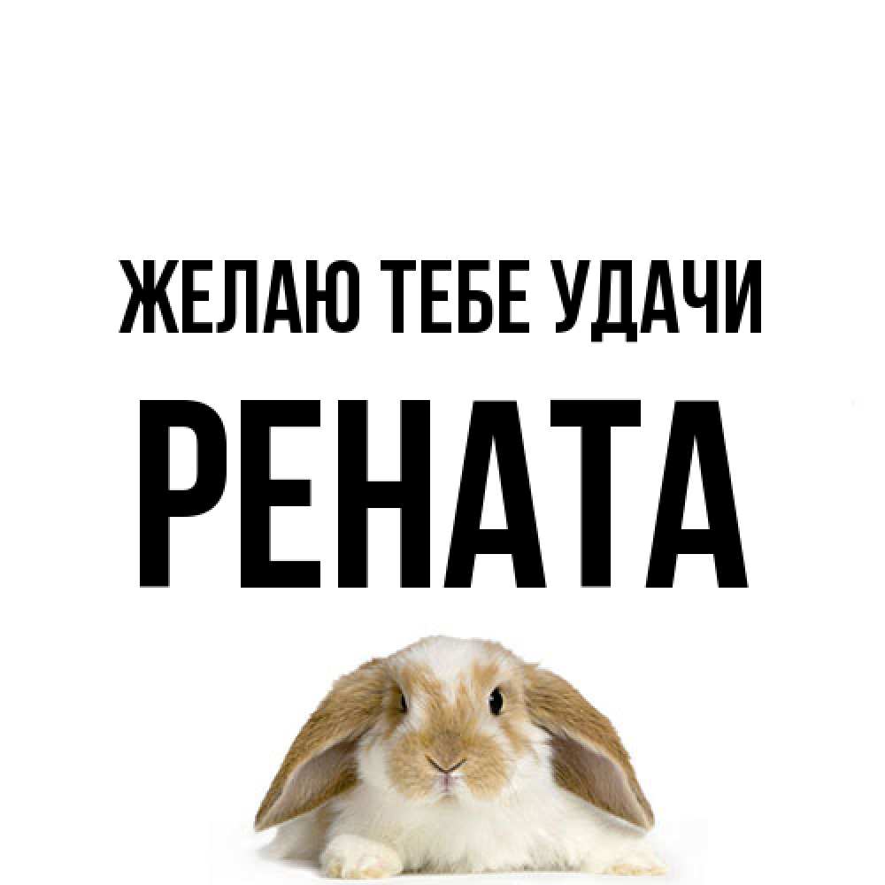 Открытка на каждый день с именем, Рената Желаю тебе удачи открытки с произвольным текстом который можно вставить в открытку и создать ее самостоятельно бесплатно онлайн Прикольная открытка с пожеланием онлайн скачать бесплатно 