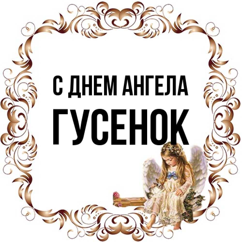 Открытка на каждый день с именем, гусенок С днем ангела рамочка из перьев и ангелочек Прикольная открытка с пожеланием онлайн скачать бесплатно 