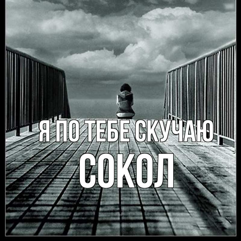 Картинка Я по тебе скучаю, Сокол