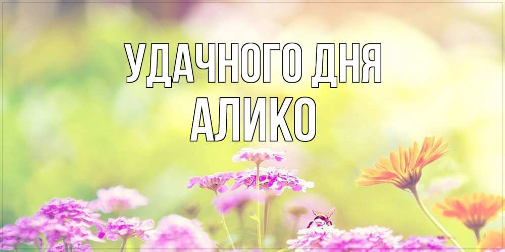 Открытка на каждый день с именем, Алико Удачного дня красивая открытка с летней темой Прикольная открытка с пожеланием онлайн скачать бесплатно 