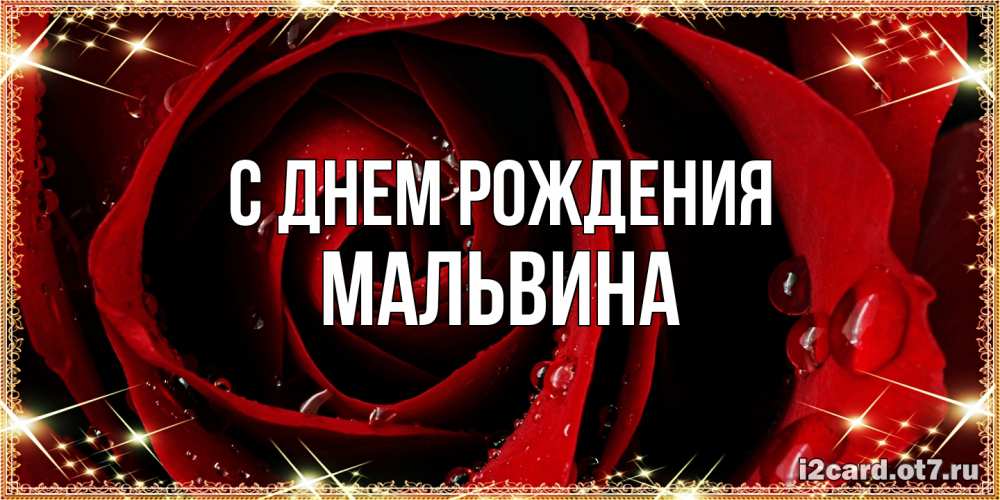 Открытка на каждый день с именем, Мальвина С днем рождения цветок в росе на день рождения Прикольная открытка с пожеланием онлайн скачать бесплатно 