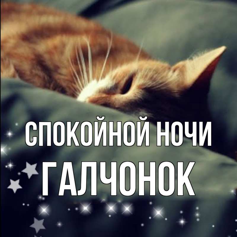 Картинка Спокойной ночи, галчонок