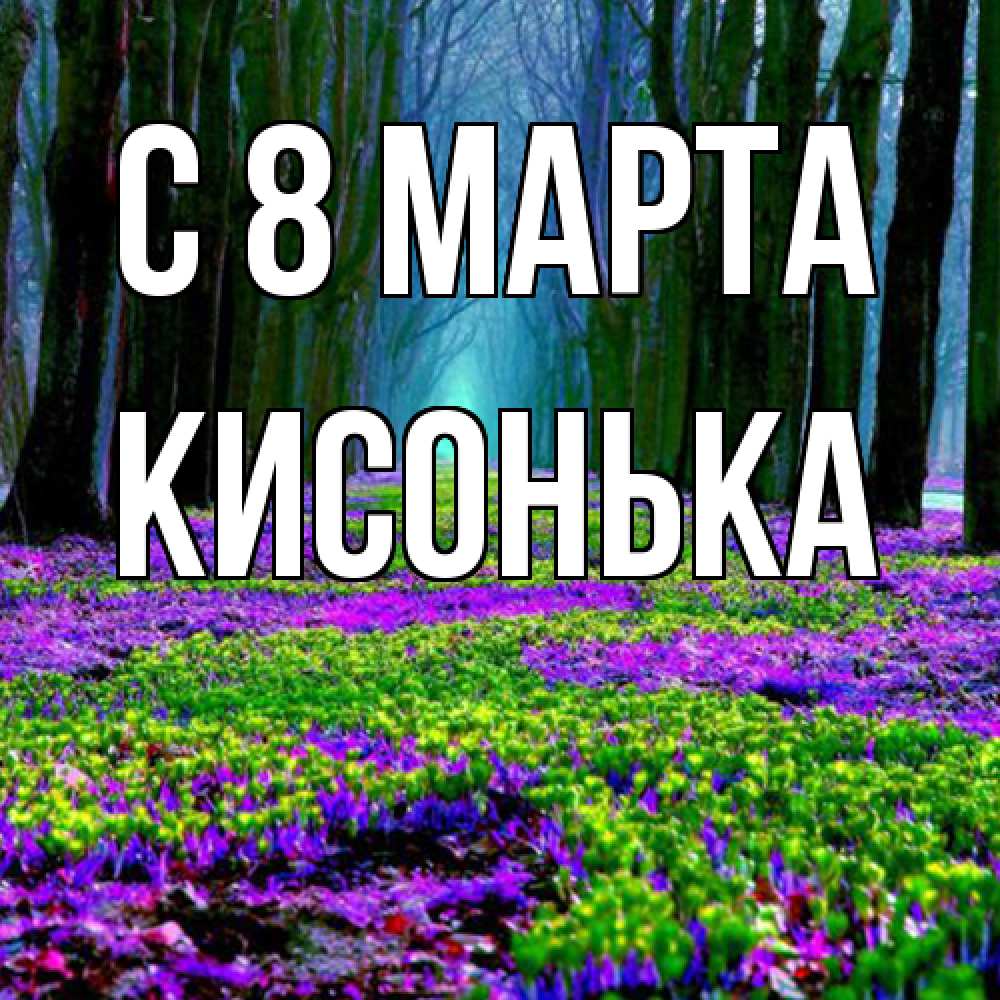 Открытка на каждый день с именем, Кисонька C 8 МАРТА фиолетовые цветы в лесу 1 Прикольная открытка с пожеланием онлайн скачать бесплатно 