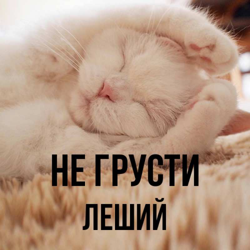 Картинка Не грусти, Леший