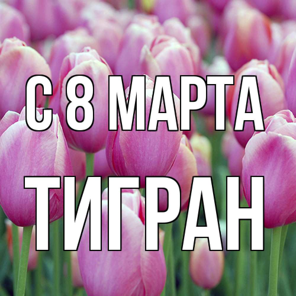 Открытка на каждый день с именем, Тигран C 8 МАРТА на международный женский день 3 Прикольная открытка с пожеланием онлайн скачать бесплатно 