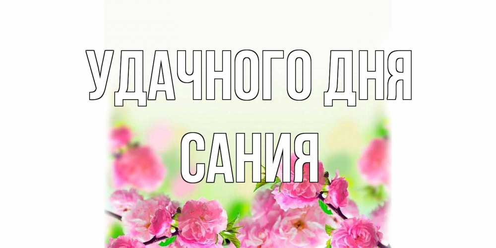 Открытка на каждый день с именем, Сания Удачного дня цветы Прикольная открытка с пожеланием онлайн скачать бесплатно 