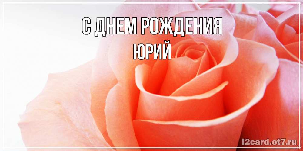 Открытка на каждый день с именем, Юрий С днем рождения розы для поздравления с днем рождения Прикольная открытка с пожеланием онлайн скачать бесплатно 