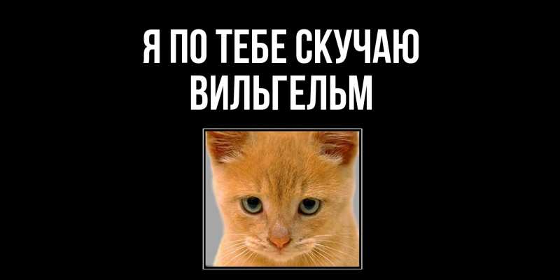 Картинка Я по тебе скучаю, Вильгельм