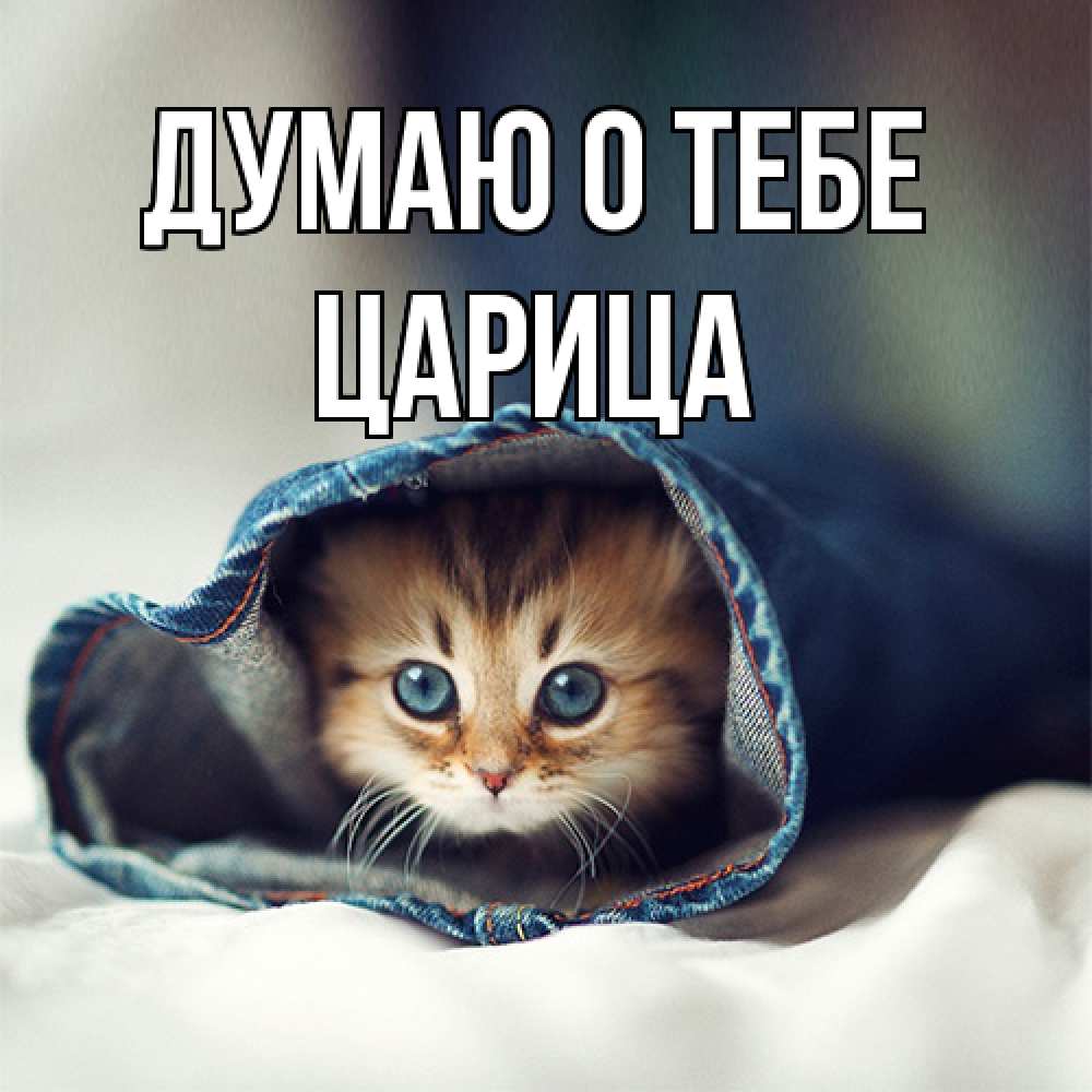 Открытка на каждый день с именем, Цаpица Думаю о тебе мне без тебя плохо Прикольная открытка с пожеланием онлайн скачать бесплатно 