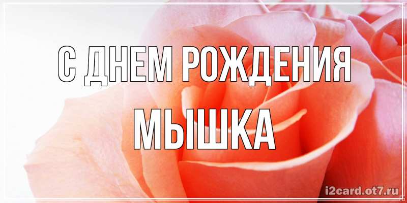 Картинка С днем рождения, Мышка