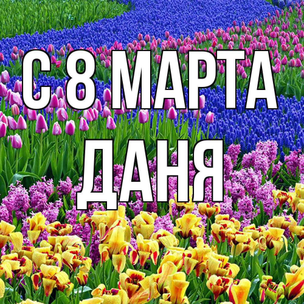 Открытка на каждый день с именем, Даня C 8 МАРТА цветы Прикольная открытка с пожеланием онлайн скачать бесплатно 