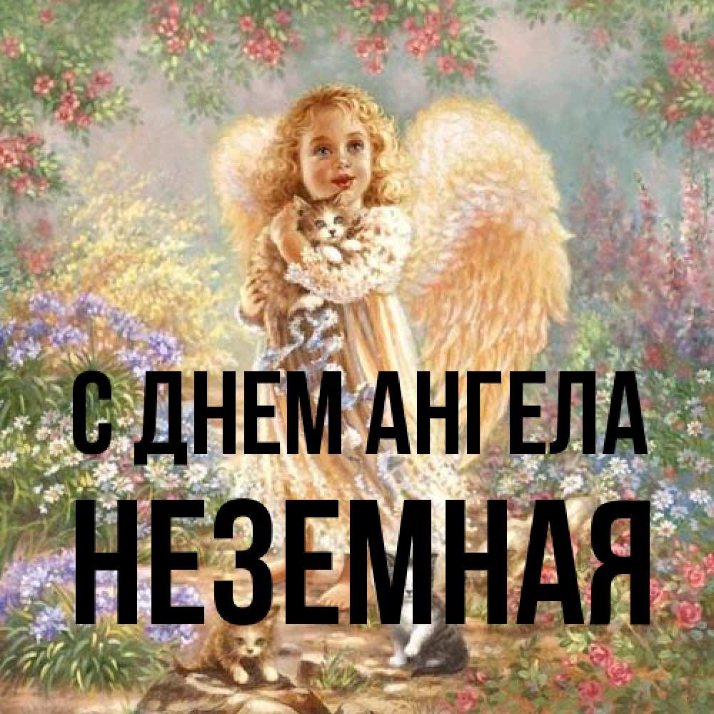 Открытка на каждый день с именем, неземная С днем ангела держит котенка Прикольная открытка с пожеланием онлайн скачать бесплатно 