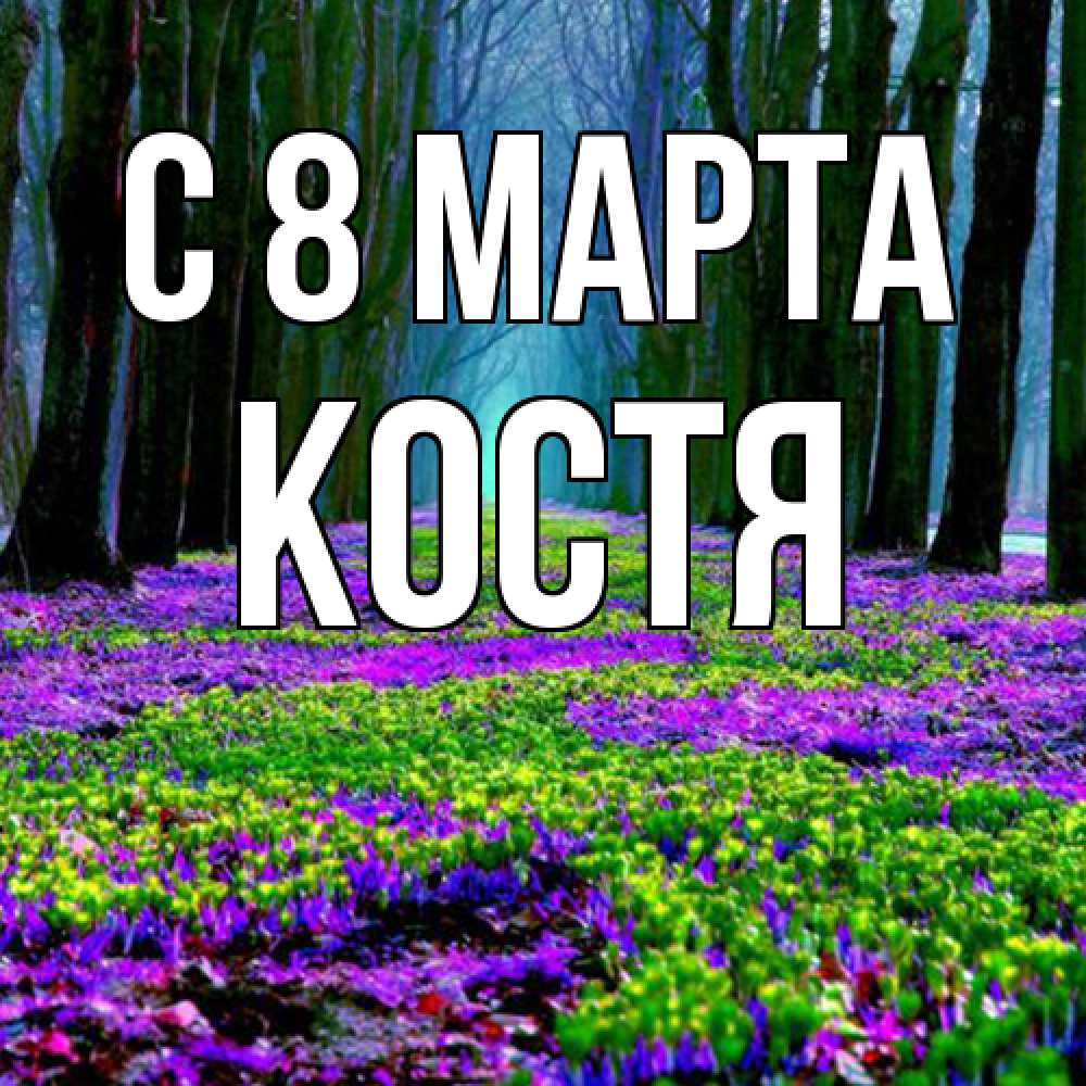 Открытка на каждый день с именем, Костя C 8 МАРТА фиолетовые цветы в лесу 1 Прикольная открытка с пожеланием онлайн скачать бесплатно 
