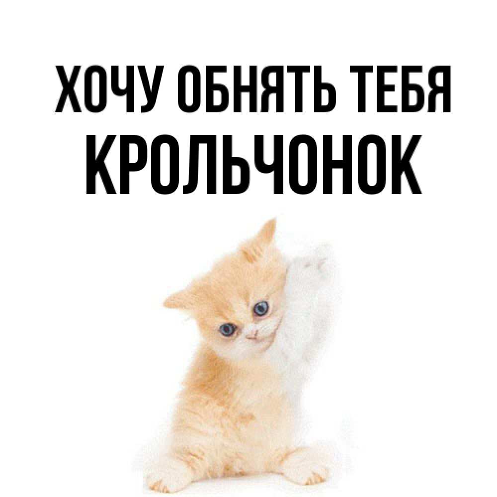 Открытка на каждый день с именем, Крольчонок Хочу обнять тебя я хочу очень скорее обнимаешек Прикольная открытка с пожеланием онлайн скачать бесплатно 