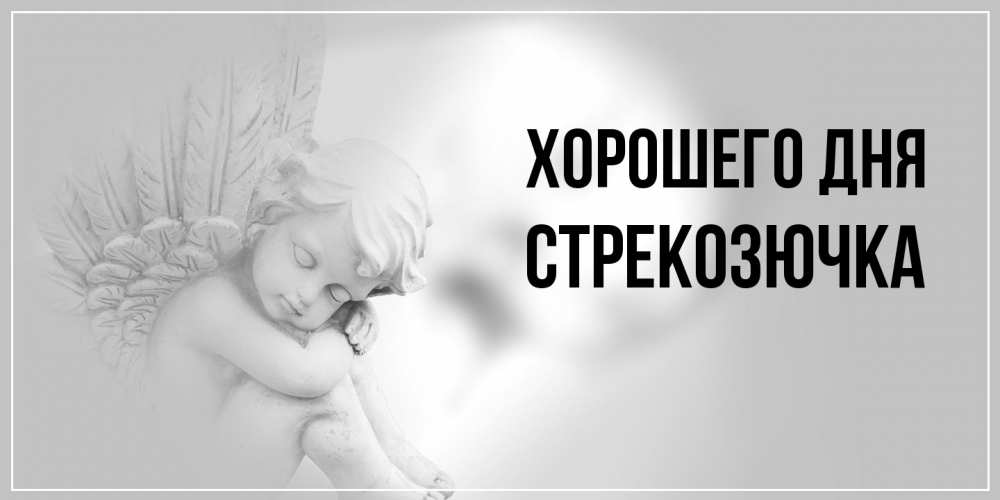 Открытка на каждый день с именем, Стрекозючка Хорошего дня ангел Прикольная открытка с пожеланием онлайн скачать бесплатно 