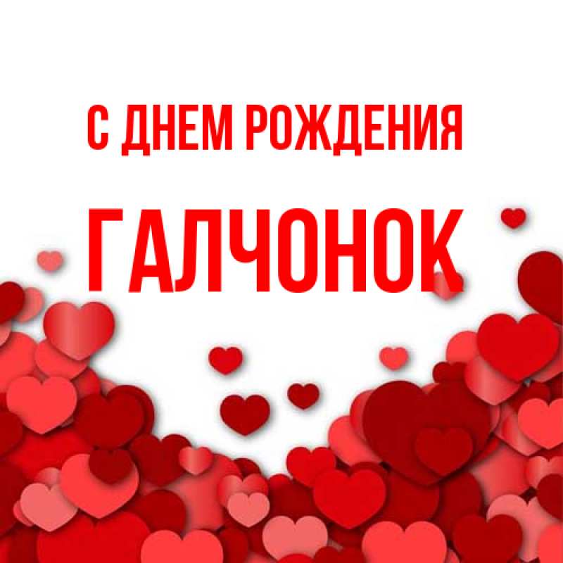 Картинка С днем рождения, галчонок