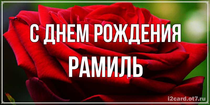 Картинка С днем рождения, Рамиль