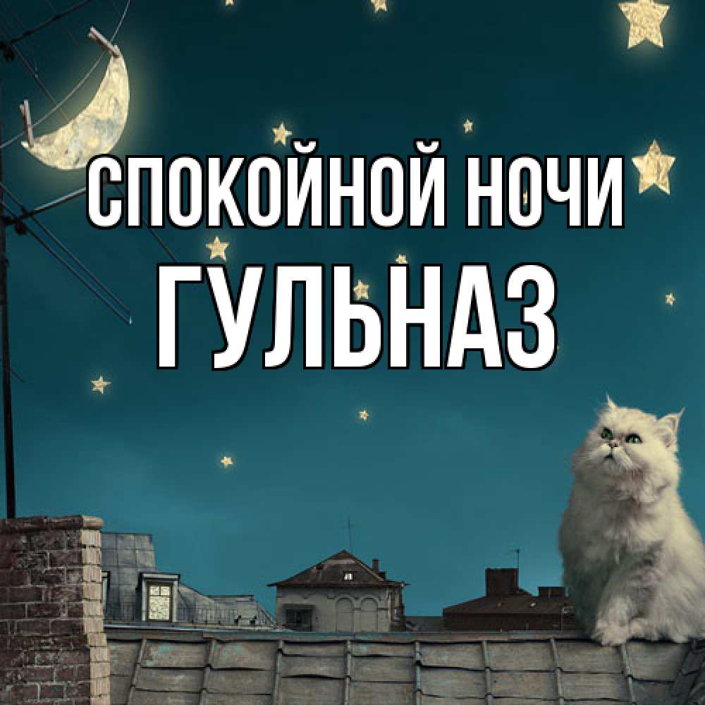 Открытка на каждый день с именем, Гульназ Спокойной ночи белый кот сидит на крыше Прикольная открытка с пожеланием онлайн скачать бесплатно 