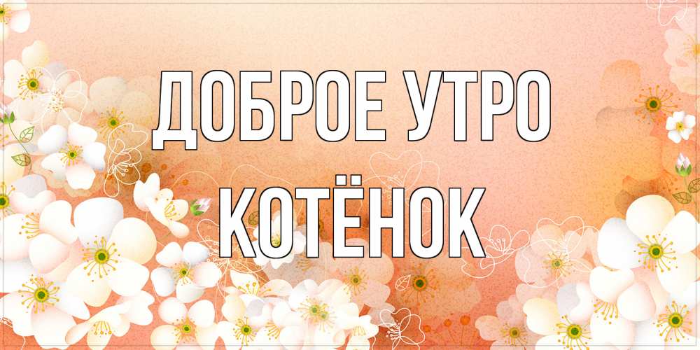 Открытка на каждый день с именем, Котёнок Доброе утро доброе утро с цветами Прикольная открытка с пожеланием онлайн скачать бесплатно 