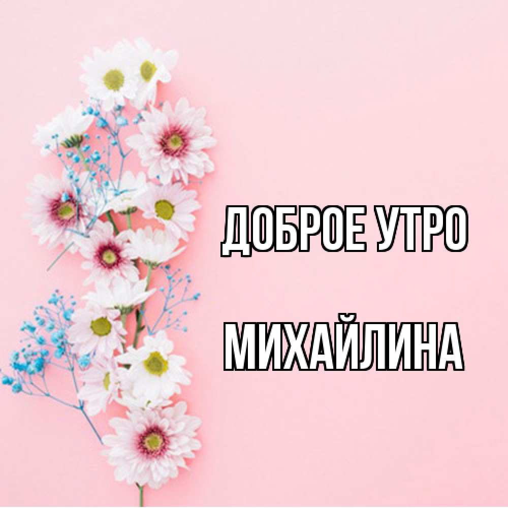 Открытка на каждый день с именем, Михайлина Доброе утро цветы с подписью Прикольная открытка с пожеланием онлайн скачать бесплатно 
