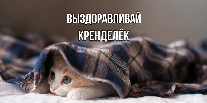 Картинка Выздоравливай, Кренделёк