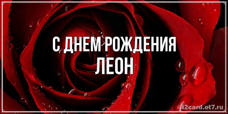 Картинка С днем рождения, Леон