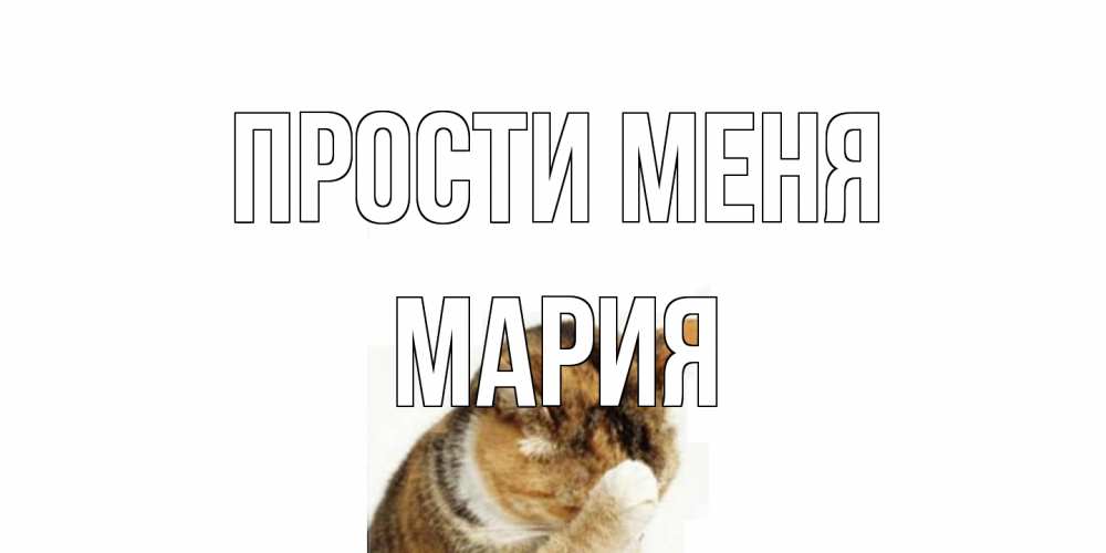 Открытка на каждый день с именем, Мария Прости меня кот Прикольная открытка с пожеланием онлайн скачать бесплатно 